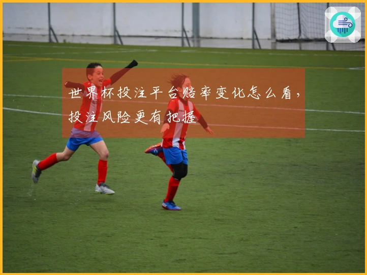 世界杯投注平台赔率变化怎么看，投注风险更有把握