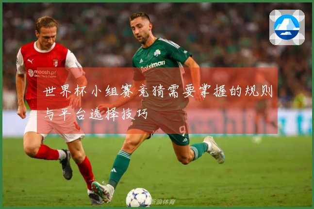 世界杯小组赛竞猜需要掌握的规则与平台选择技巧