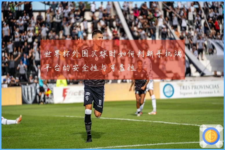 世界杯外围买球时如何判断手机端平台的安全性与可靠性