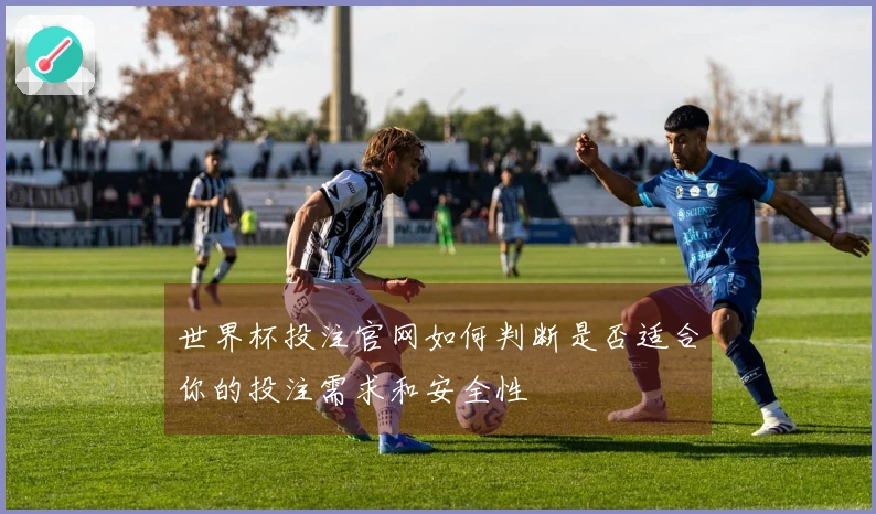 世界杯投注官网如何判断是否适合你的投注需求和安全性