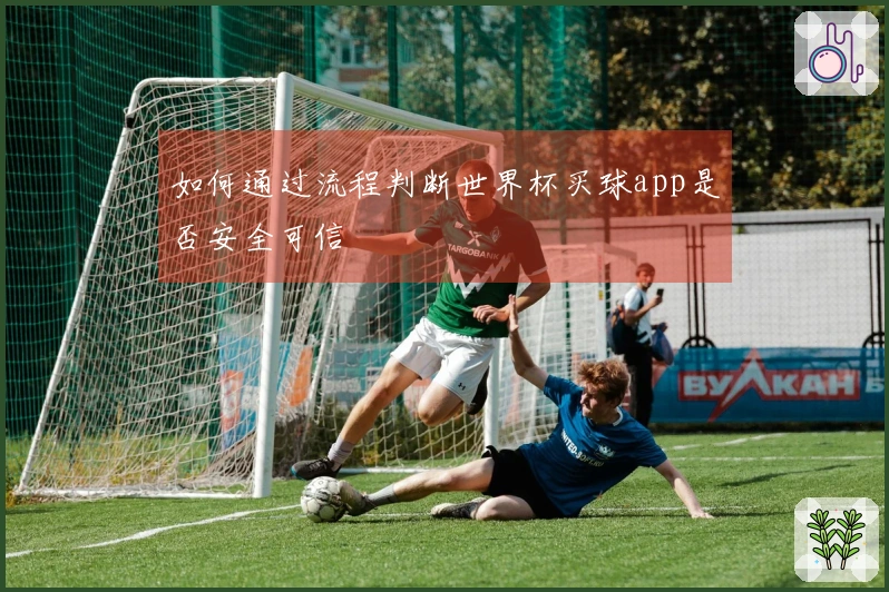 如何通过流程判断世界杯买球app是否安全可信