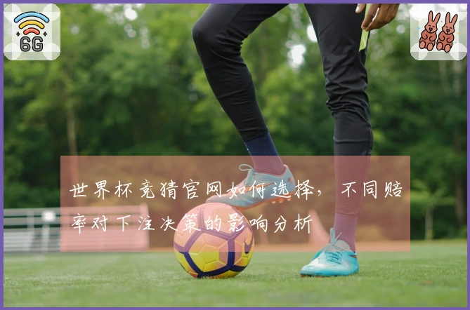 世界杯竞猜官网如何选择，不同赔率对下注决策的影响分析