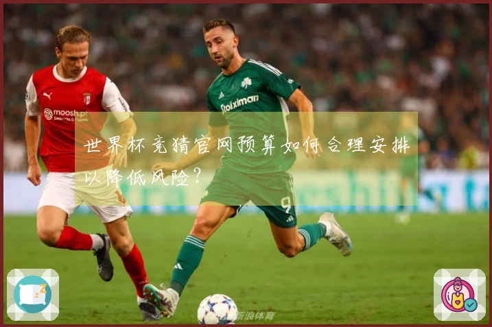 世界杯竞猜官网预算如何合理安排以降低风险？