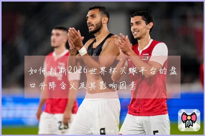 如何判断2026世界杯买球平台的盘口升降含义及其影响因素