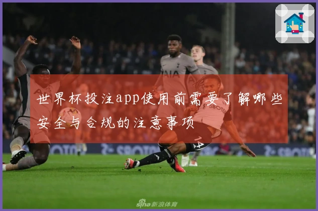 世界杯投注app使用前需要了解哪些安全与合规的注意事项