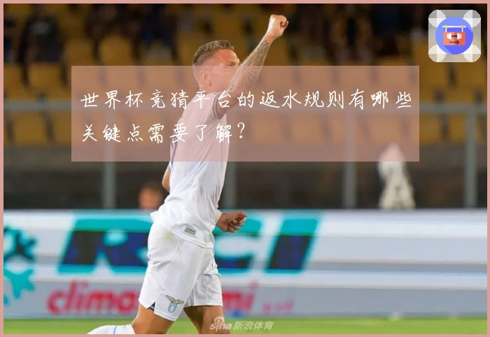 世界杯竞猜平台的返水规则有哪些关键点需要了解？