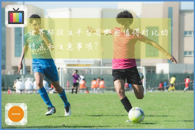 世界杯投注平台有哪些值得对比的特点和注意事项？