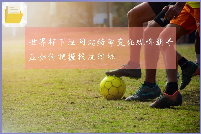 世界杯下注网站赔率变化规律新手应如何把握投注时机