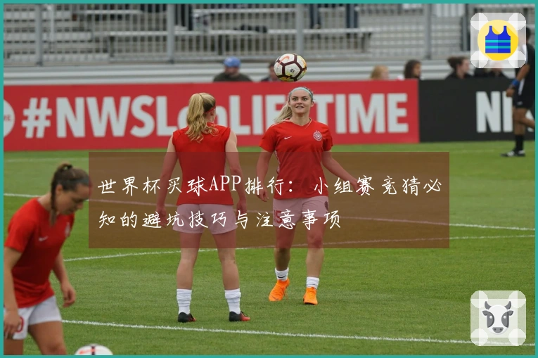 世界杯买球APP排行：小组赛竞猜必知的避坑技巧与注意事项