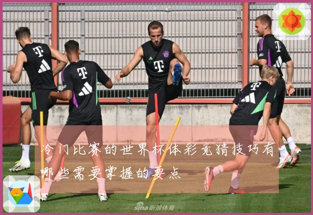 冷门比赛的世界杯体彩竞猜技巧有哪些需要掌握的要点