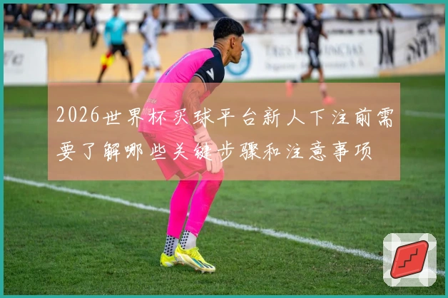 2026世界杯买球平台新人下注前需要了解哪些关键步骤和注意事项