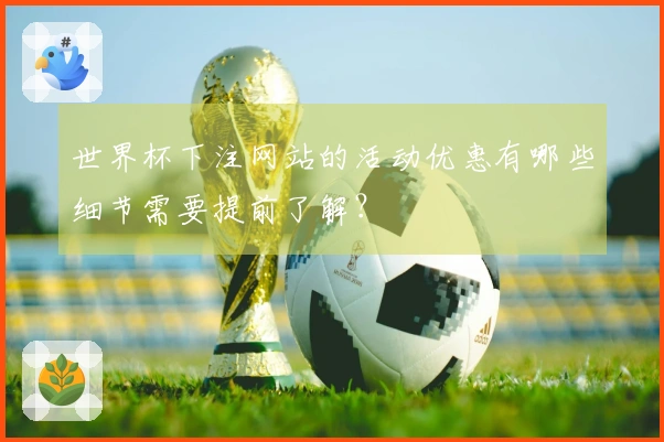世界杯下注网站的活动优惠有哪些细节需要提前了解？