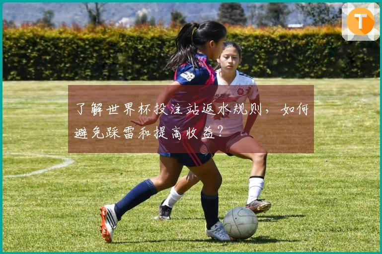 了解世界杯投注站返水规则，如何避免踩雷和提高收益？
