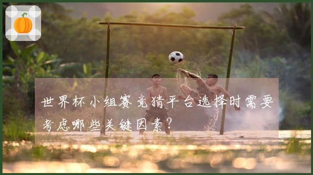 世界杯小组赛竞猜平台选择时需要考虑哪些关键因素？