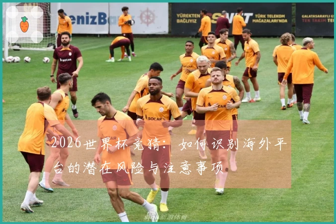 2026世界杯竞猜：如何识别海外平台的潜在风险与注意事项