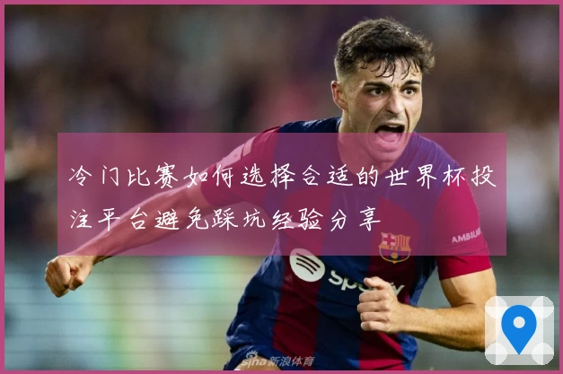 冷门比赛如何选择合适的世界杯投注平台避免踩坑经验分享