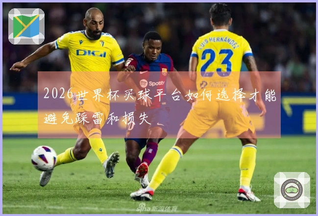 2026世界杯买球平台如何选择才能避免踩雷和损失