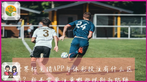 世界杯竞猜APP与体彩投注有什么区别？新手需要注意哪些规则和陷阱