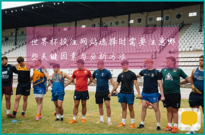 世界杯投注网站选择时需要注意哪些关键因素与分析方法