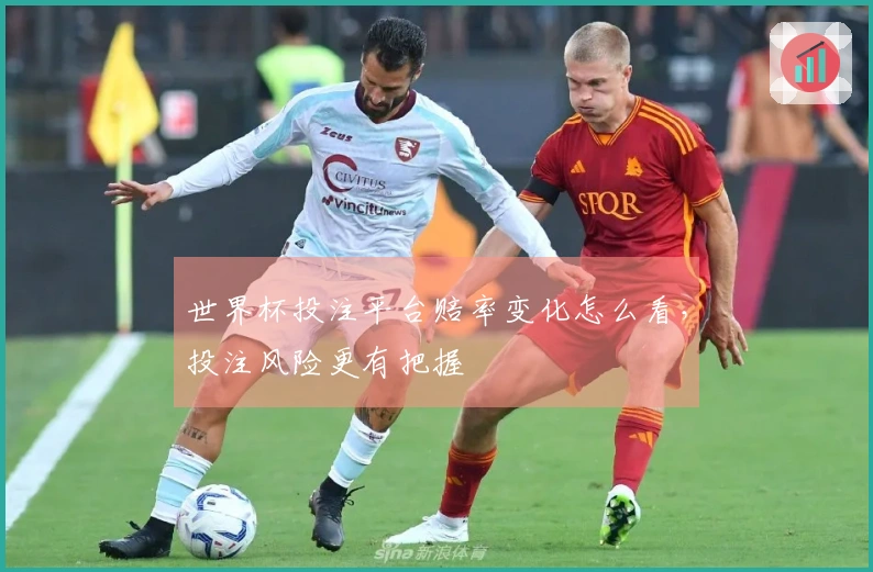 世界杯投注平台赔率变化怎么看，投注风险更有把握