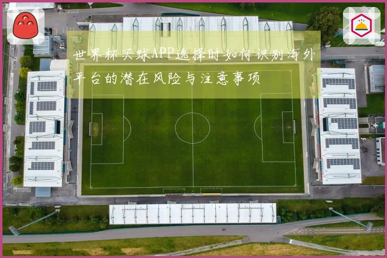 世界杯买球APP选择时如何识别海外平台的潜在风险与注意事项