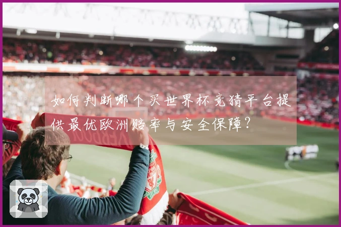 如何判断哪个买世界杯竞猜平台提供最优欧洲赔率与安全保障？