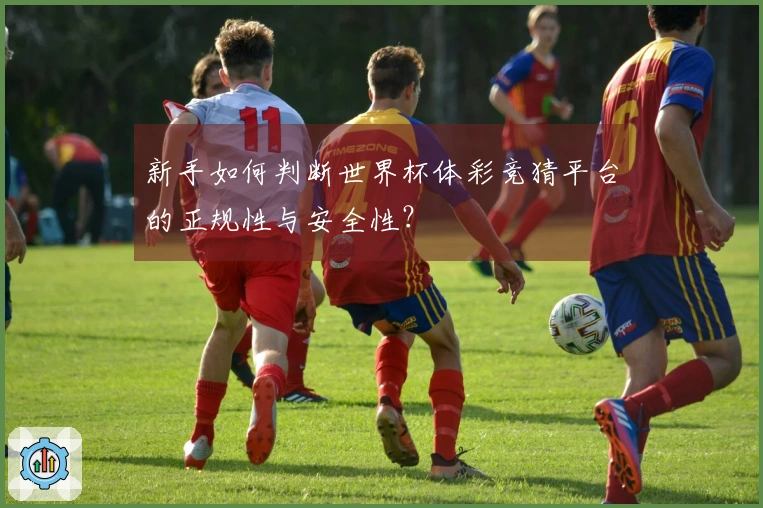 新手如何判断世界杯体彩竞猜平台的正规性与安全性？