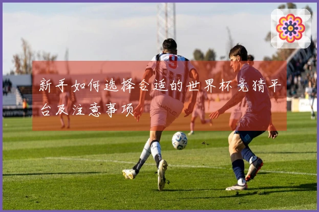 新手如何选择合适的世界杯竞猜平台及注意事项