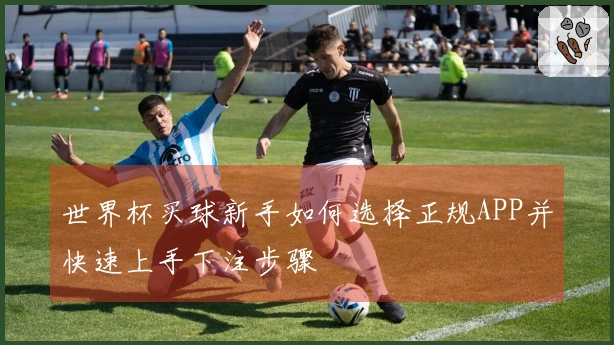 世界杯买球新手如何选择正规APP并快速上手下注步骤
