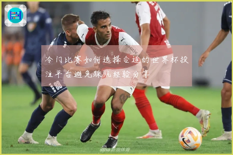 冷门比赛如何选择合适的世界杯投注平台避免踩坑经验分享