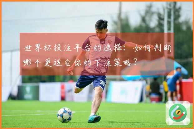 世界杯投注平台的选择：如何判断哪个更适合你的下注策略？