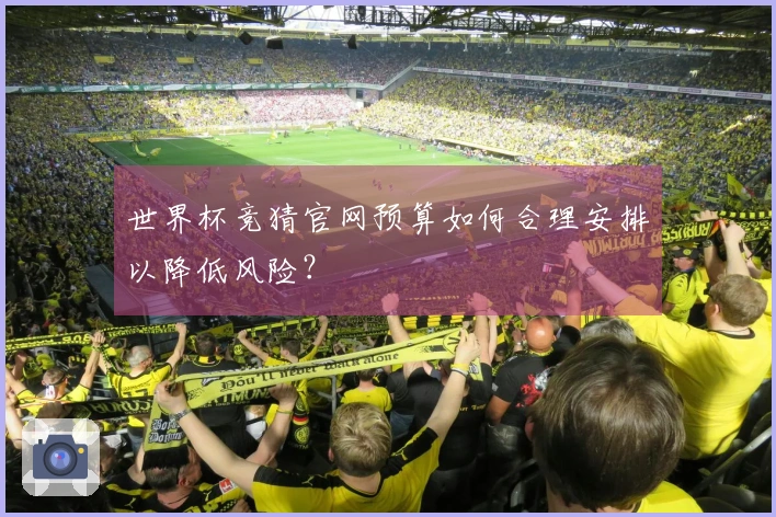 世界杯竞猜官网预算如何合理安排以降低风险？