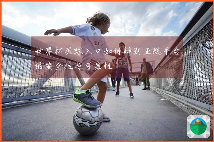 世界杯买球入口如何辨别正规平台的安全性与可靠性