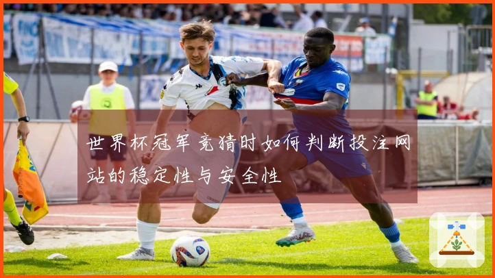 世界杯冠军竞猜时如何判断投注网站的稳定性与安全性