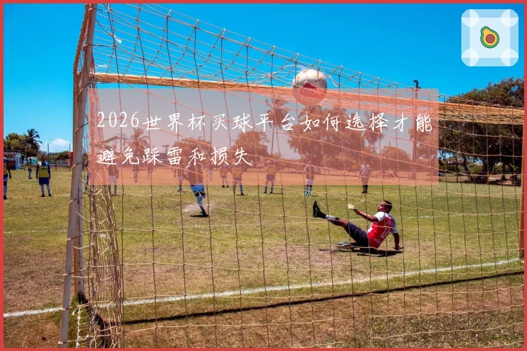 2026世界杯买球平台如何选择才能避免踩雷和损失