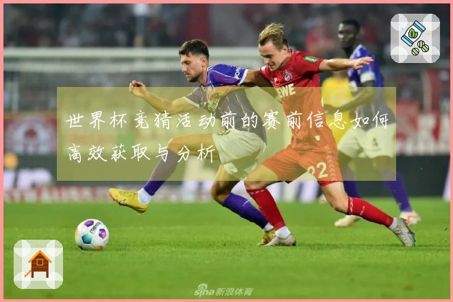 世界杯竞猜活动前的赛前信息如何高效获取与分析