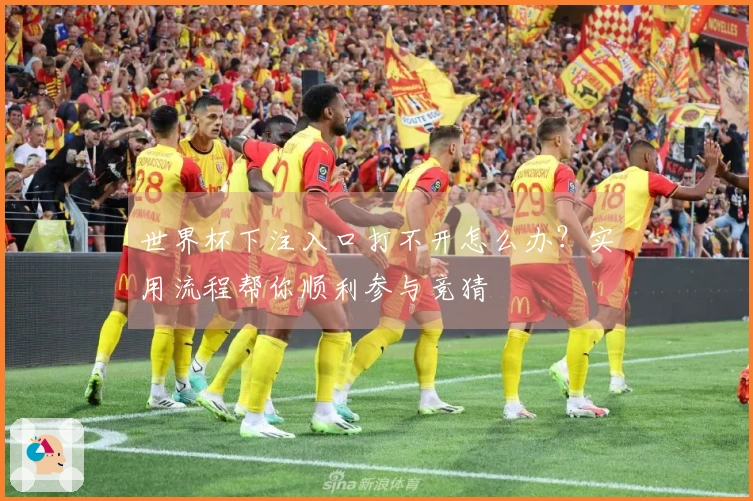 世界杯下注入口打不开怎么办？实用流程帮你顺利参与竞猜