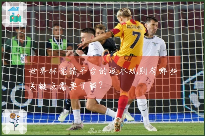 世界杯竞猜平台的返水规则有哪些关键点需要了解？