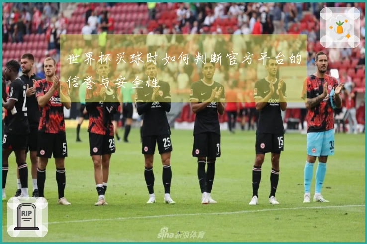 世界杯买球时如何判断官方平台的信誉与安全性