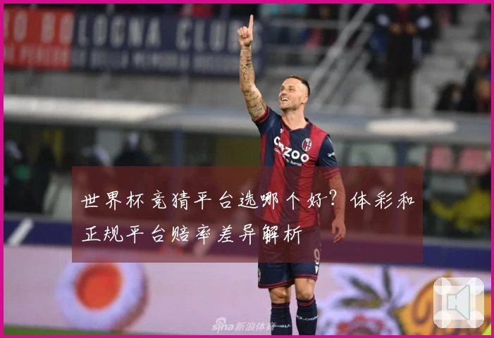 世界杯竞猜平台选哪个好？体彩和正规平台赔率差异解析
