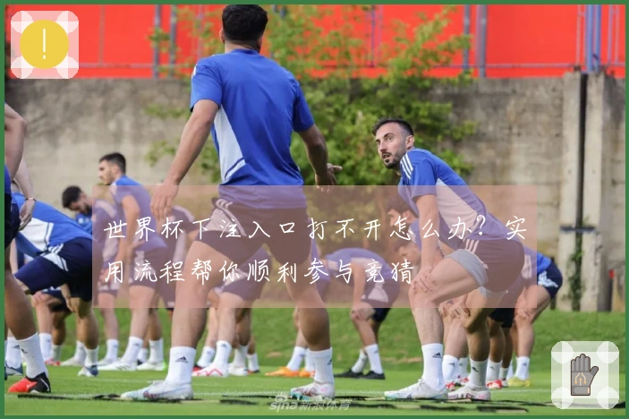世界杯下注入口打不开怎么办？实用流程帮你顺利参与竞猜