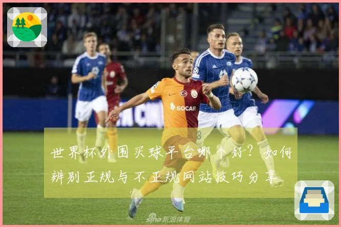 世界杯外围买球平台哪个好？如何辨别正规与不正规网站技巧分享