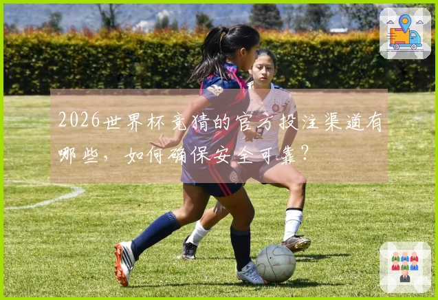 2026世界杯竞猜的官方投注渠道有哪些，如何确保安全可靠？
