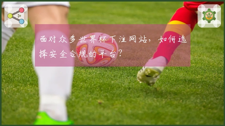 面对众多世界杯下注网站，如何选择安全合规的平台？