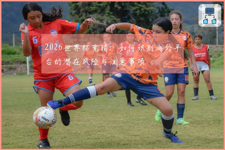 2026世界杯竞猜：如何识别海外平台的潜在风险与注意事项