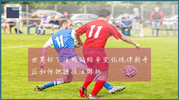 世界杯下注网站赔率变化规律新手应如何把握投注时机