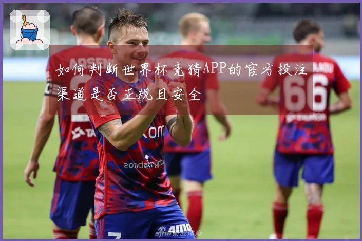如何判断世界杯竞猜APP的官方投注渠道是否正规且安全