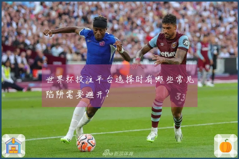 世界杯投注平台选择时有哪些常见陷阱需要避开？