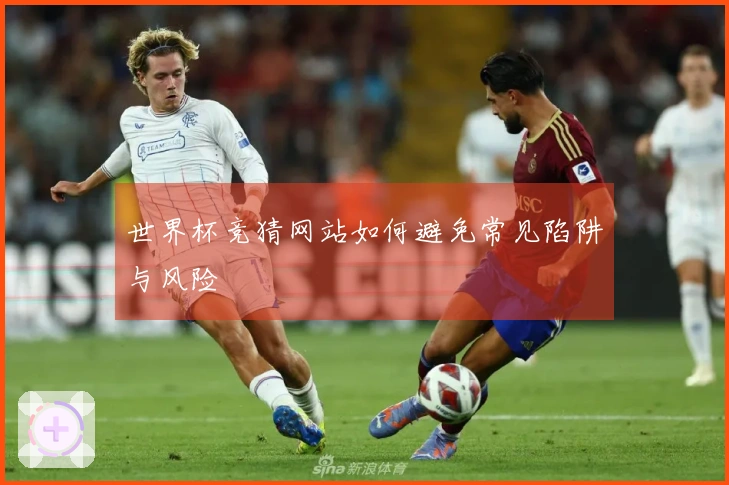 世界杯竞猜网站如何避免常见陷阱与风险